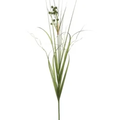 Arrangements & Greenery-Kirkland's Home Potted Grass With Pomp Balls Green