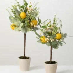 Trees & Topiaries-Kirkland's Home Potted Lemon And Berry Herb Trees, Set Of 2
