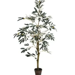 Trees & Topiaries-Kirkland's Home Potted Olive Tree, 4 Ft.