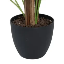 Arrangements & Greenery-Kirkland's Home Potted Small Leaf Fern Palm Plant, 35 In. Green