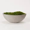 Arrangements & Greenery-Kirkland's Home Preserved Mood Moss In Oval Concrete Bowl Green/Gray
