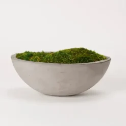 Arrangements & Greenery-Kirkland's Home Preserved Mood Moss In Oval Concrete Bowl Green/Gray