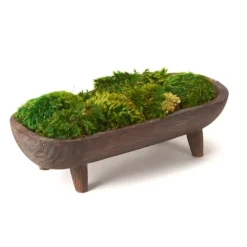Arrangements & Greenery-Kirkland's Home Preserved Mood Moss In Wooden Bowl With Legs Green/Brown