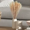 Stems & Bouquets-Kirkland's Home Preserved Natural Bleached Staavia Bush Tan