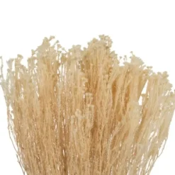 Stems & Bouquets-Kirkland's Home Preserved Natural Bleached Staavia Bush Tan