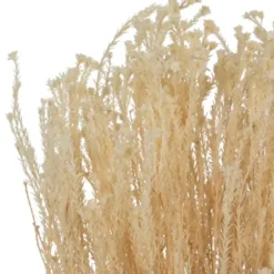Stems & Bouquets-Kirkland's Home Preserved Natural Bleached Staavia Bush Tan