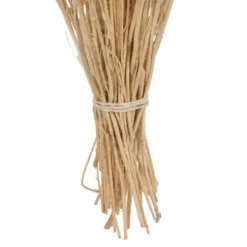 Stems & Bouquets-Kirkland's Home Preserved Natural Bleached Staavia Bush Tan