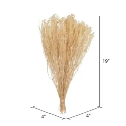Stems & Bouquets-Kirkland's Home Preserved Natural Bleached Staavia Bush Tan