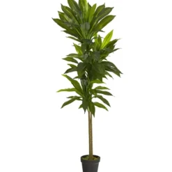 Trees & Topiaries-Kirkland's Home Real Touch Dracaena Tree In Black Planter