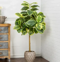 Trees & Topiaries-Kirkland's Home Real Touch Variegated Ficus Altissima Tree, 4 Ft.
