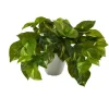 Arrangements & Greenery-Kirkland's Home Real Touch Variegated Pothos In White Planter Green/White