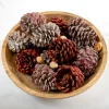Home Fragrance-Kirkland's Home Red Glitter Cinnamon Pinecones Potpourri Red/White