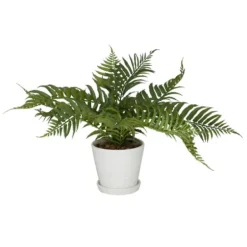 Arrangements & Greenery-Kirkland's Home River Rock Fern In Ribbed White Planter Green/Blue