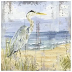 Canvas Art-Kirkland's Home Rustic Birds Of The Coast I Canvas Art Print Multi