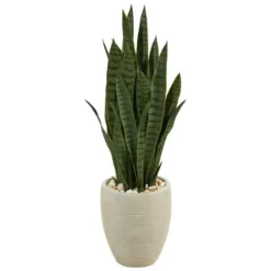 Trees & Topiaries-Kirkland's Home Sansevieria Arrangement In Sand Planter