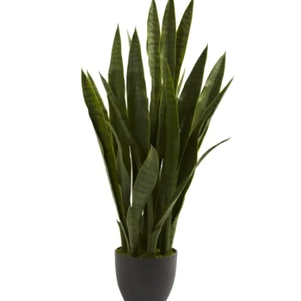 Trees & Topiaries-Kirkland's Home Sansevieria Floor Plant In Black Planter
