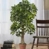 Trees & Topiaries-Kirkland's Home Schefflera Tree In Terra Cotta Planter, 4 Ft.