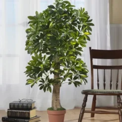 Trees & Topiaries-Kirkland's Home Schefflera Tree In Terra Cotta Planter, 4 Ft.