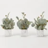 Arrangements & Greenery-Kirkland's Home Seeded Eucalyptus Branches In Cubes, Set Of 3 Green