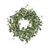 Wreaths-Kirkland's Home Seeded Tradescantia Wreath Green