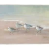 Canvas Art-Kirkland's Home Shorebirds On The Sand Framed Canvas Art Print Gray/Tan/White