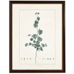 Framed Art-Kirkland's Home Sida Greenery Black Beaded Framed Art Print Ivory/Green