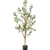 Trees & Topiaries-Kirkland's Home Slender Olive Branch Tree In Nursery Planter