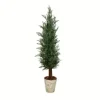 Trees & Topiaries-Kirkland's Home Small Cedar Tree In Mossy White Planter, 36 In.