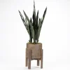 Arrangements & Greenery-Kirkland's Home Snake Plant In Round Wooden Planter Stand, 36 In. Green