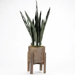 Arrangements & Greenery-Kirkland's Home Snake Plant In Round Wooden Planter Stand, 36 In. Green