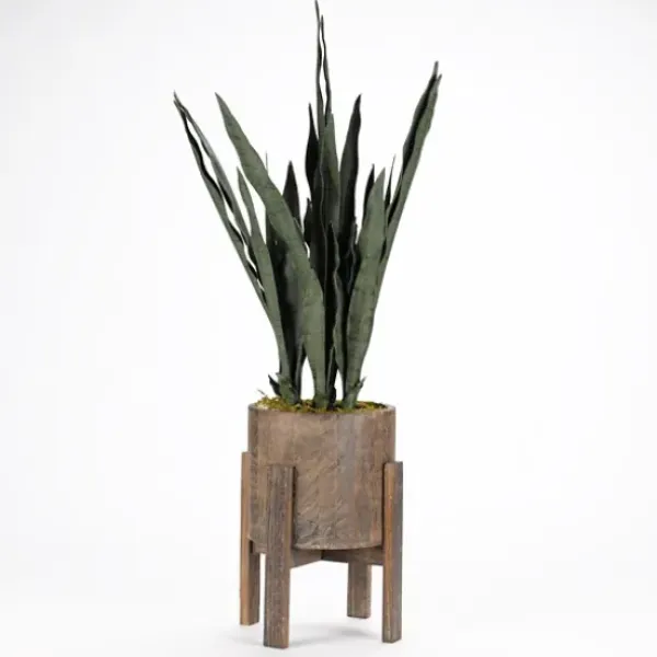 Arrangements & Greenery-Kirkland's Home Snake Plant In Round Wooden Planter Stand, 36 In. Green