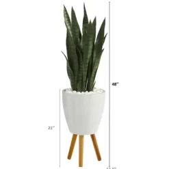 Trees & Topiaries-Kirkland's Home Snake Plant In White Tri-Pod Planter