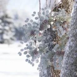 Wreaths-Kirkland's Home Snow Dusted Eucalyptus And Pinecone Wreath Green/Brown/White