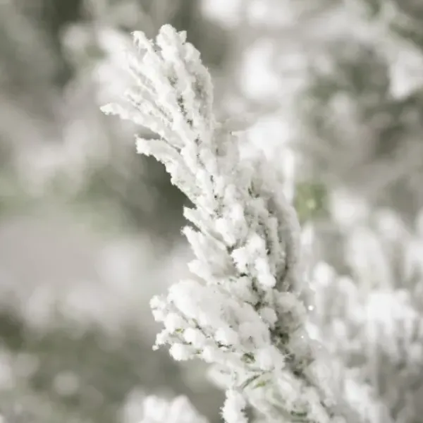 Arrangements & Greenery-Kirkland's Home Snowy Pine White Potted Christmas Trees, Set Of 3 Green/White