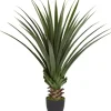 Arrangements & Greenery-Kirkland's Home Spiked Agave Plant In Nursery Planter Green/Black