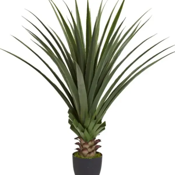 Arrangements & Greenery-Kirkland's Home Spiked Agave Plant In Nursery Planter Green/Black