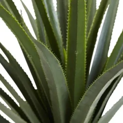 Arrangements & Greenery-Kirkland's Home Spiked Agave Plant In Nursery Planter Green/Black