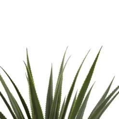 Arrangements & Greenery-Kirkland's Home Spiked Agave Plant In Nursery Planter Green/Black