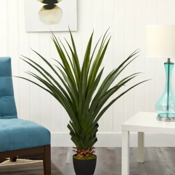 Arrangements & Greenery-Kirkland's Home Spiked Agave Plant In Nursery Planter Green/Black