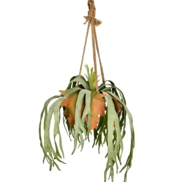Arrangements & Greenery-Kirkland's Home Staghorn Fern In Hanging Cone Planter Green/Orange
