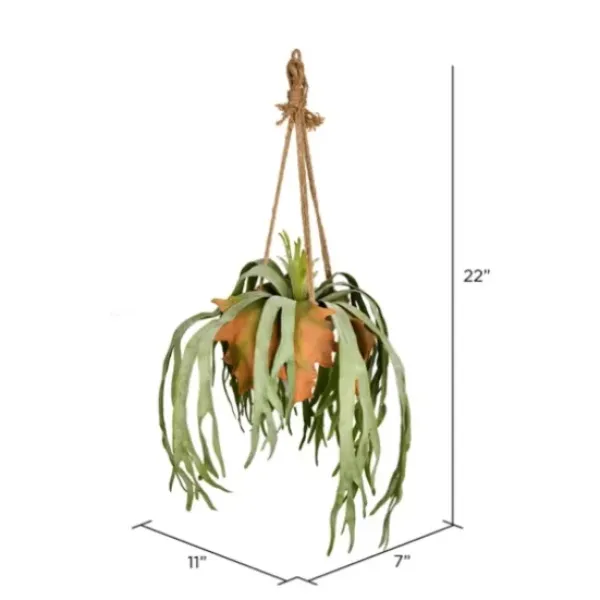 Arrangements & Greenery-Kirkland's Home Staghorn Fern In Hanging Cone Planter Green/Orange