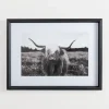 Framed Art-Kirkland's Home Stoic Steer Framed Art Print Black/White
