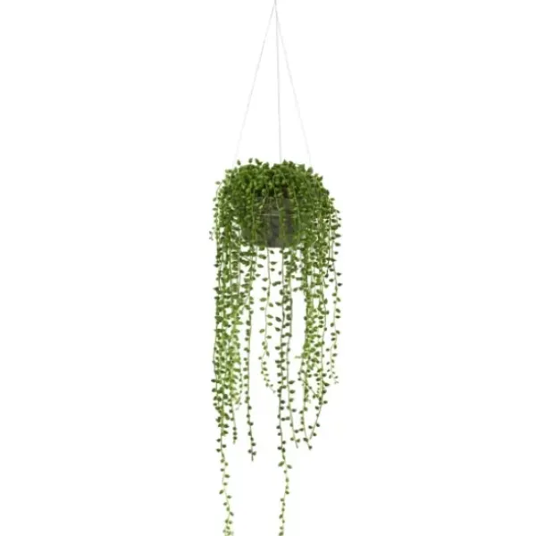 Arrangements & Greenery-Kirkland's Home String Of Pearl Plant In Hanging Planter Green