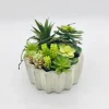 Arrangements & Greenery-Kirkland's Home Succulent Arrangement In Zig-Zag Gray Planter Green/White