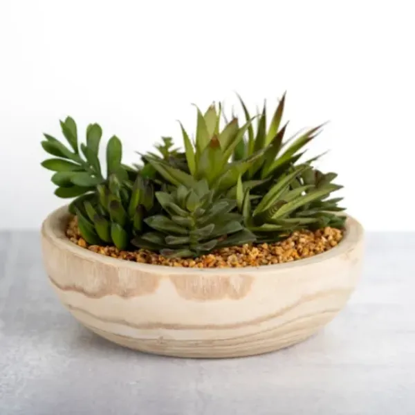 Arrangements & Greenery-Kirkland's Home Succulent Arrangement In Natural Wood Bowl Green/Tan