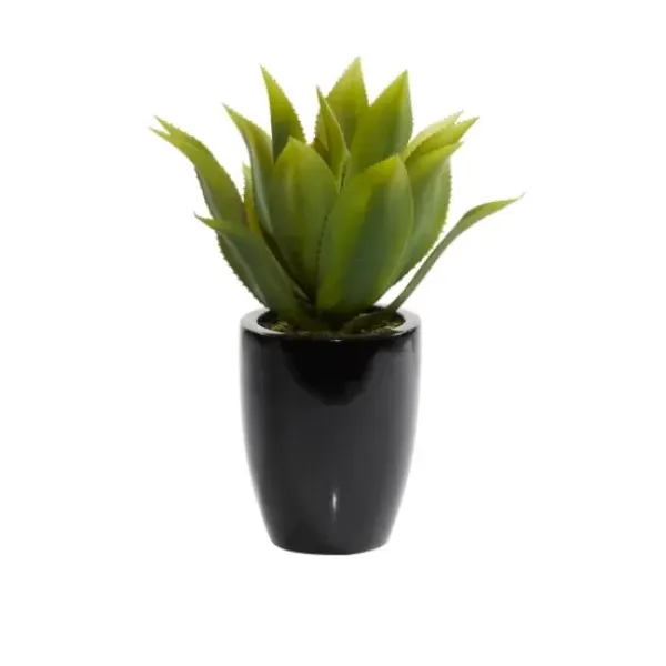 Arrangements & Greenery-Kirkland's Home Succulent In Sleek Black Planter Green/Black