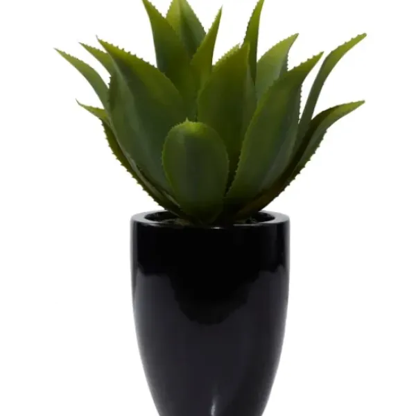 Arrangements & Greenery-Kirkland's Home Succulent In Sleek Black Planter Green/Black