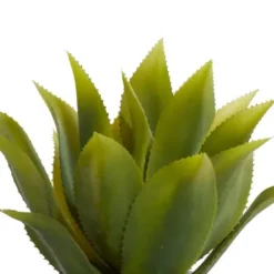Arrangements & Greenery-Kirkland's Home Succulent In Sleek Black Planter Green/Black
