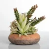 Arrangements & Greenery-Kirkland's Home Succulent Mix In Round Terracotta Planter Green/Orange