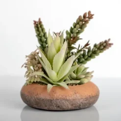 Arrangements & Greenery-Kirkland's Home Succulent Mix In Round Terracotta Planter Green/Orange